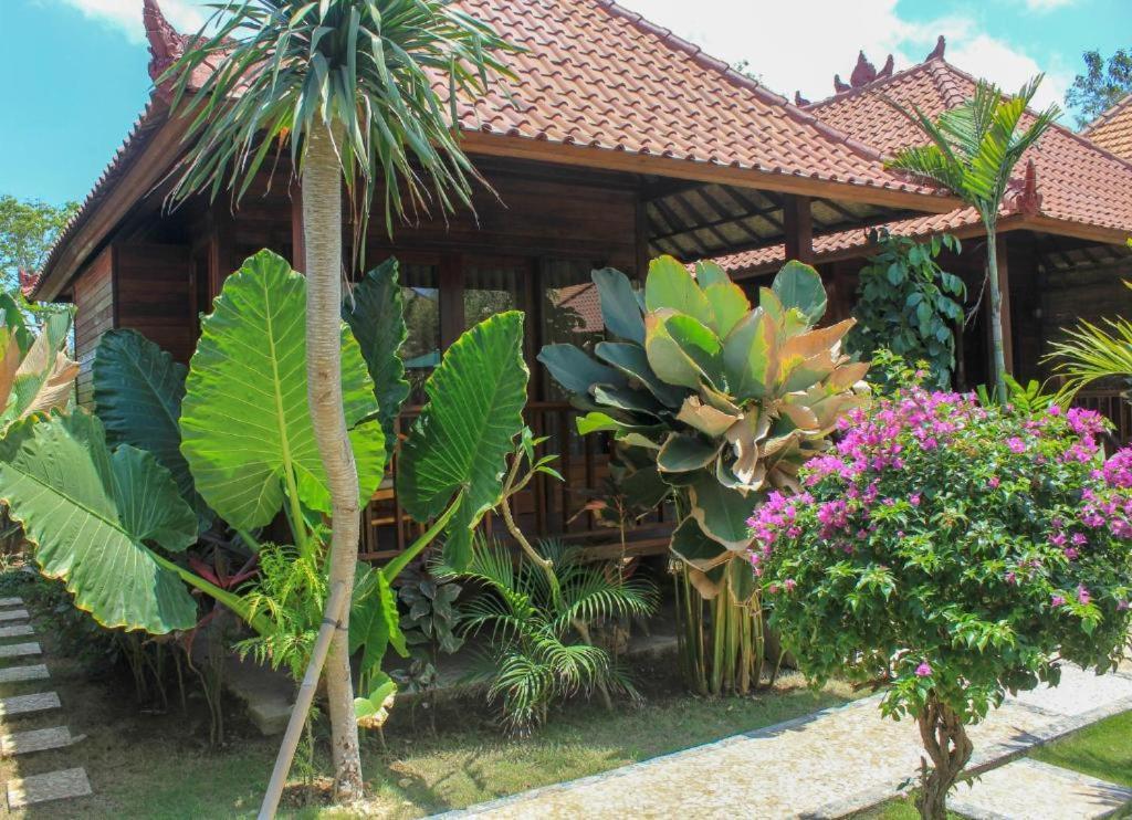 Pattri Dihati Lembongan Номер фото